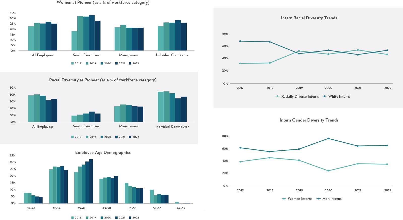 Ethnic Diversity Interns