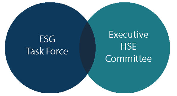 ESG Task Force and Executive HSE Committee