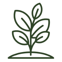 plant icon